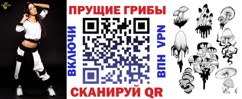 OMG ссылки  Приволжский  Галлюциногенные грибы Magic Shrooms  купить  